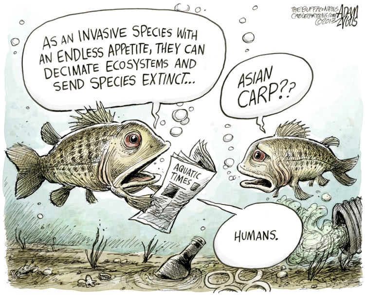 Cartoon on invasive species