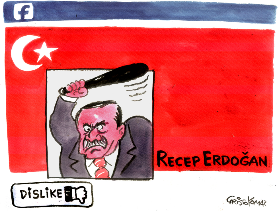 Erdogan's facebook