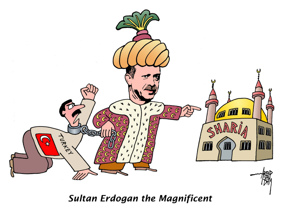 Erdogan the Magnificent