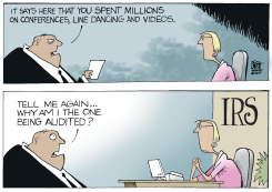 IRS AUDIT, by Randy Bish