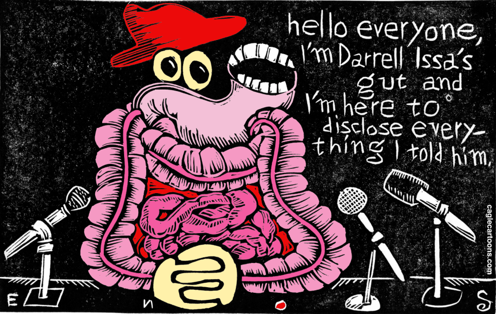 Darrell Issa's Gut COLOR