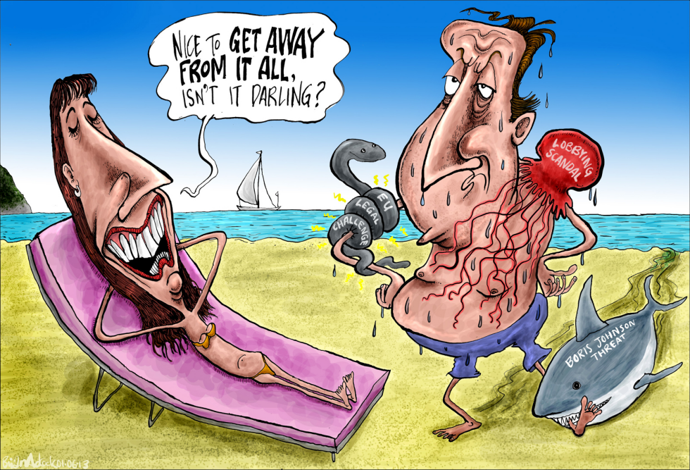 David Cameron's Holiday Disturbed