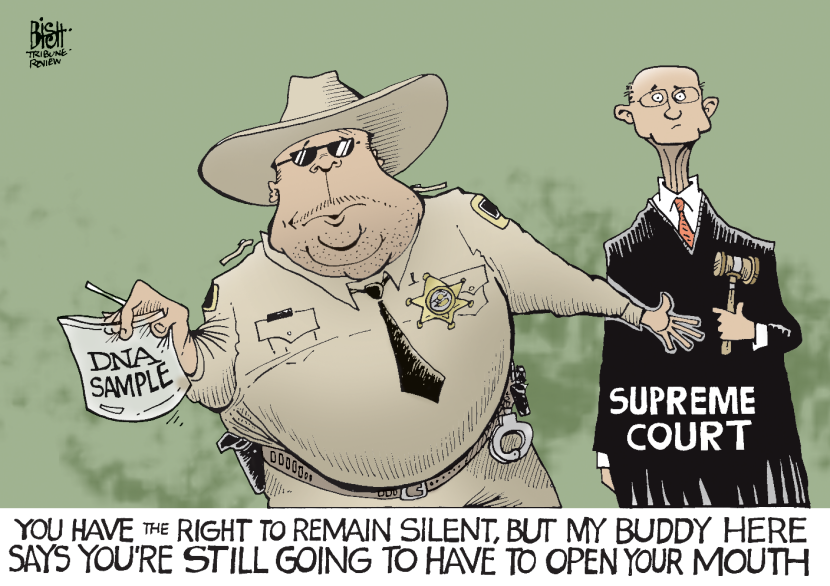 SUPREME COURT DNA, COLOR