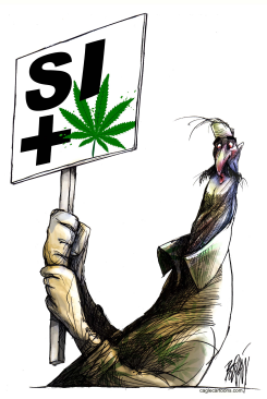 CON RAZóN / by Angel Boligan