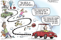NSA by Joe Heller