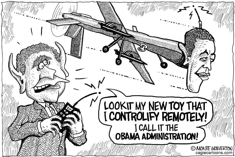 Bush Drone