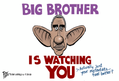 BIG BROTHER IS WATCHING by Bruce Plante