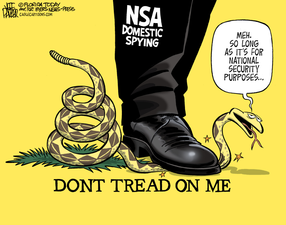 NSA SPYING AND PUBLIC APATHY by Jeff Parker