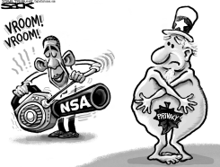 PRIVACY BLOWER by Steve Sack