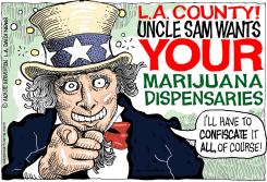 LOCAL-CA LA POT DISPENSARY CRACKDOWN by Monte Wolverton