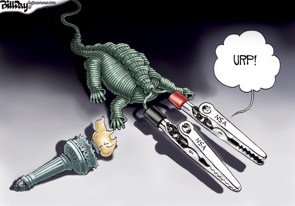 Wire Tapping Gator  COLOR