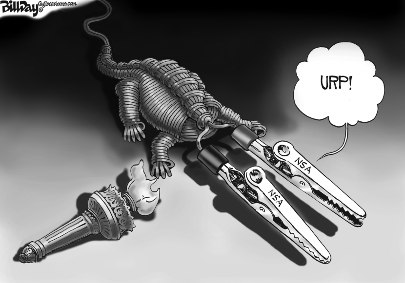 Wire Tapping Gator