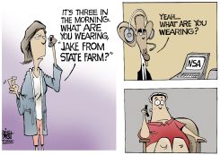 NSA CALLS,  by Randy Bish