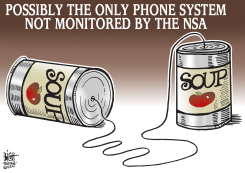 NSA MONITORING, by Randy Bish