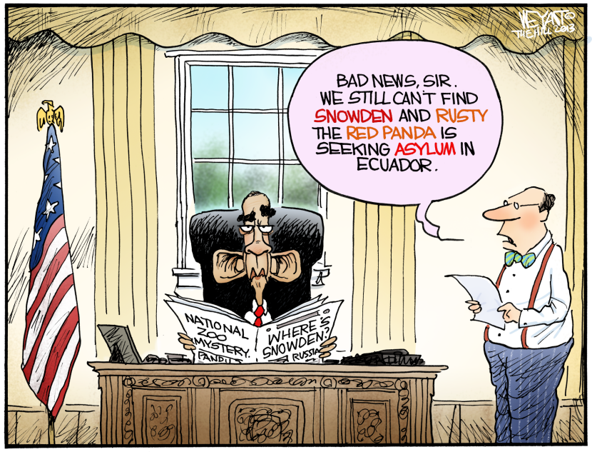 Snowden Gone COLOR