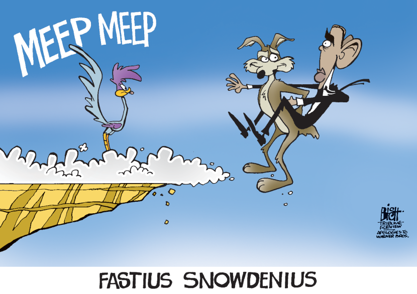 CHASING SNOWDEN, COLOR