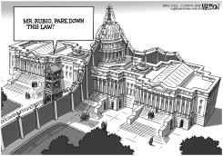 BORDER FENCE SEPARATES SENATE IMMIGRATION BILL FROM HOUSE by R.J. Matson
