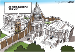 BORDER FENCE SEPARATES SENATE IMMIGRATION BILL FROM HOUSE by R.J. Matson
