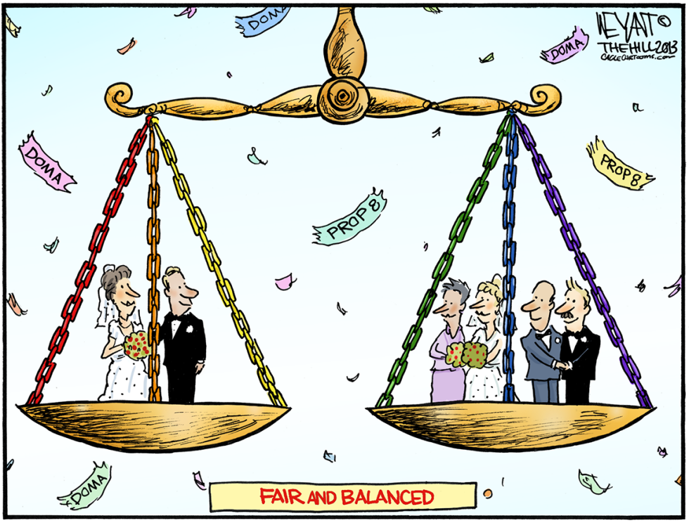 Fair and Balanced COLOR