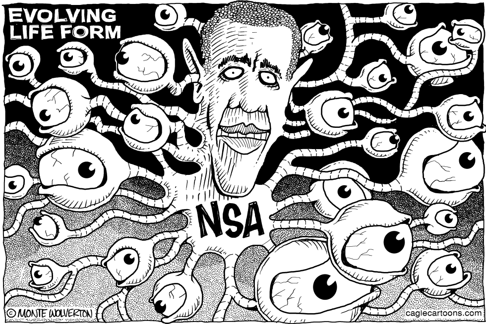 NSA Evolving Life Form