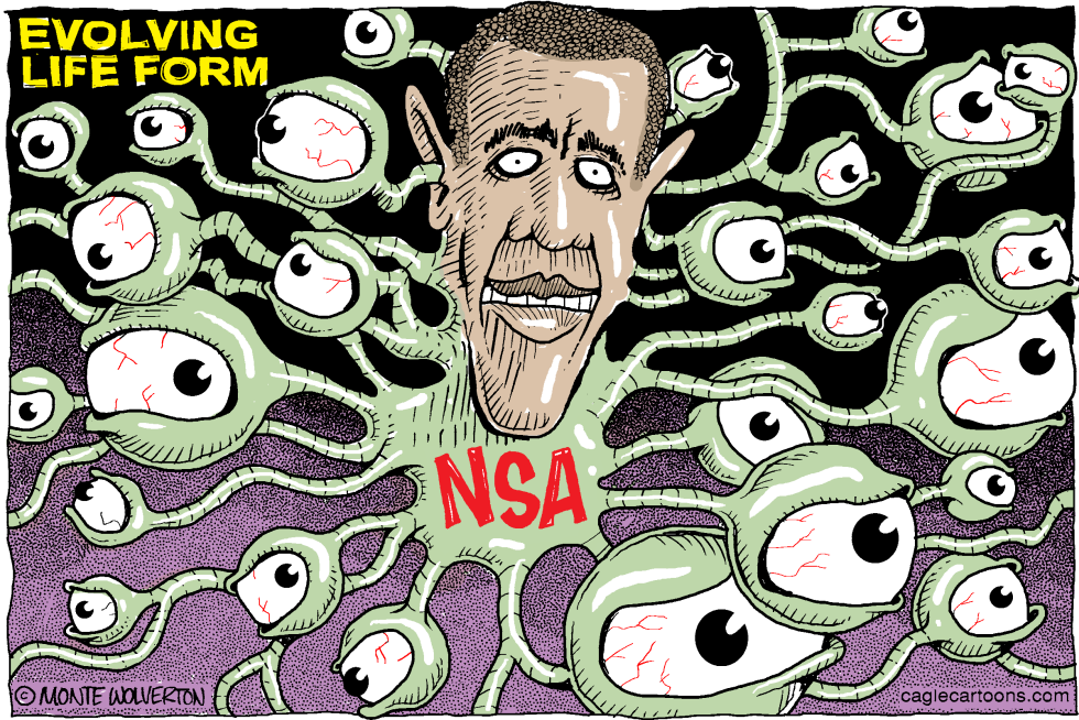 NSA Evolving Life Form COLOR