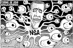 NSA FORMA DE VIDA EVOLUCIONANDO by Monte Wolverton