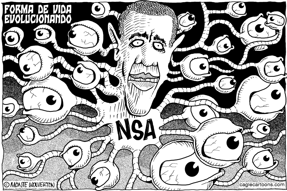NSA Forma de Vida Evolucionando