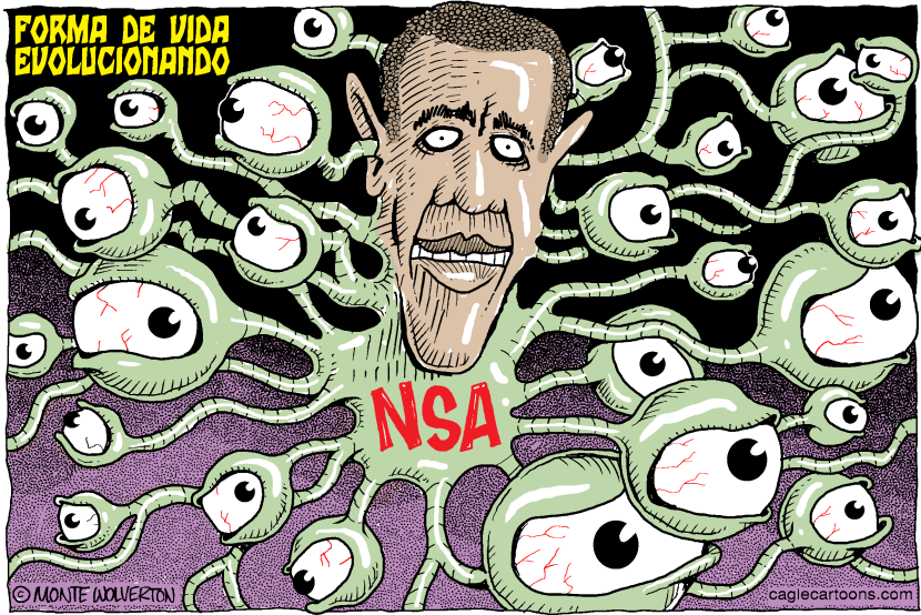 NSA Forma de Vida Evolucionando COLOR