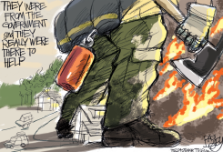 WILDFIRE  by Pat Bagley