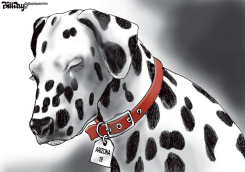ARIZONA FIRE DOG    by Bill Day