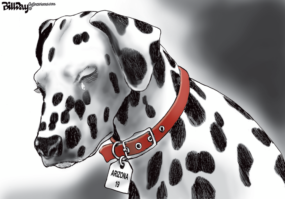 Arizona Fire Dog   COLOR