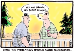 WATER CONSERVATION by Ingrid Rice