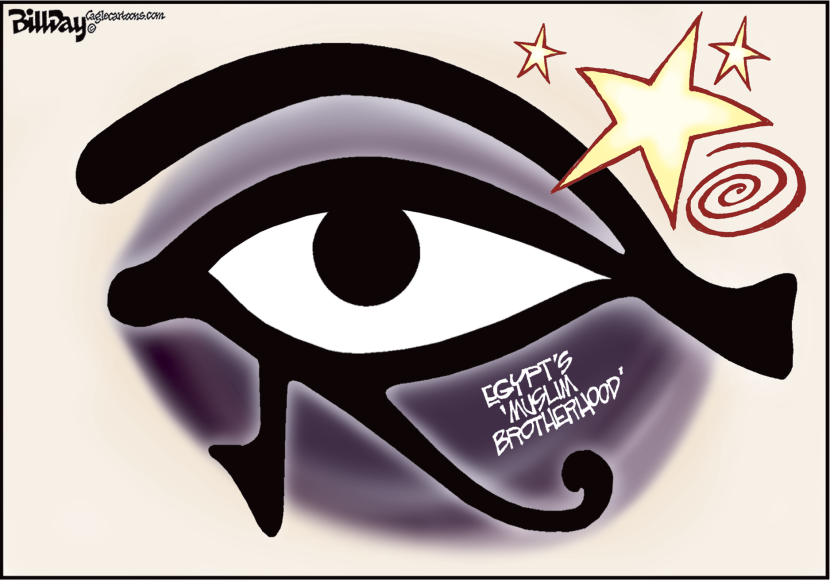 Black Eye COLOR
