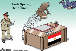 ARAB SPRING REDEFINED by Steve Greenberg