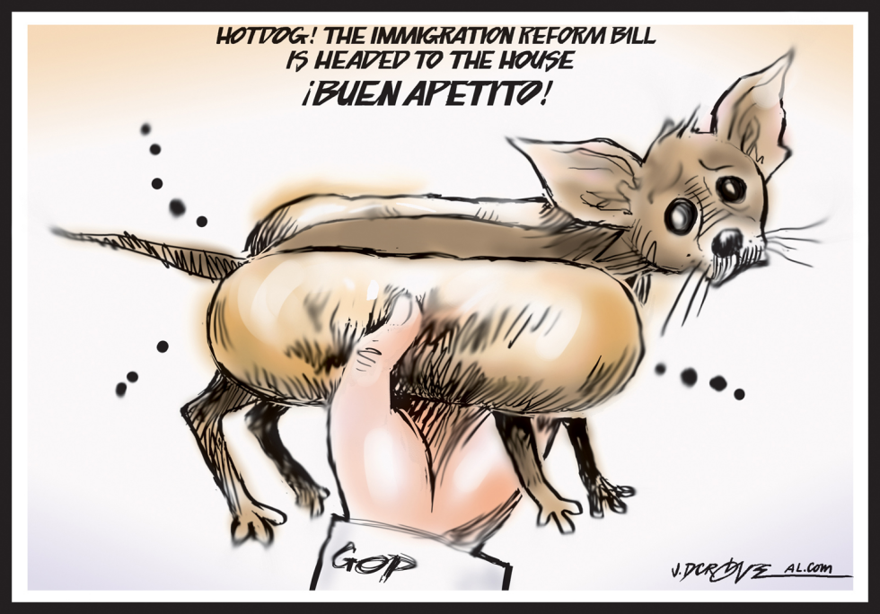 Immigration reform bill