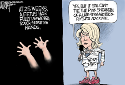 WENDY DAVIS IS NO HERO by Jeff Darcy