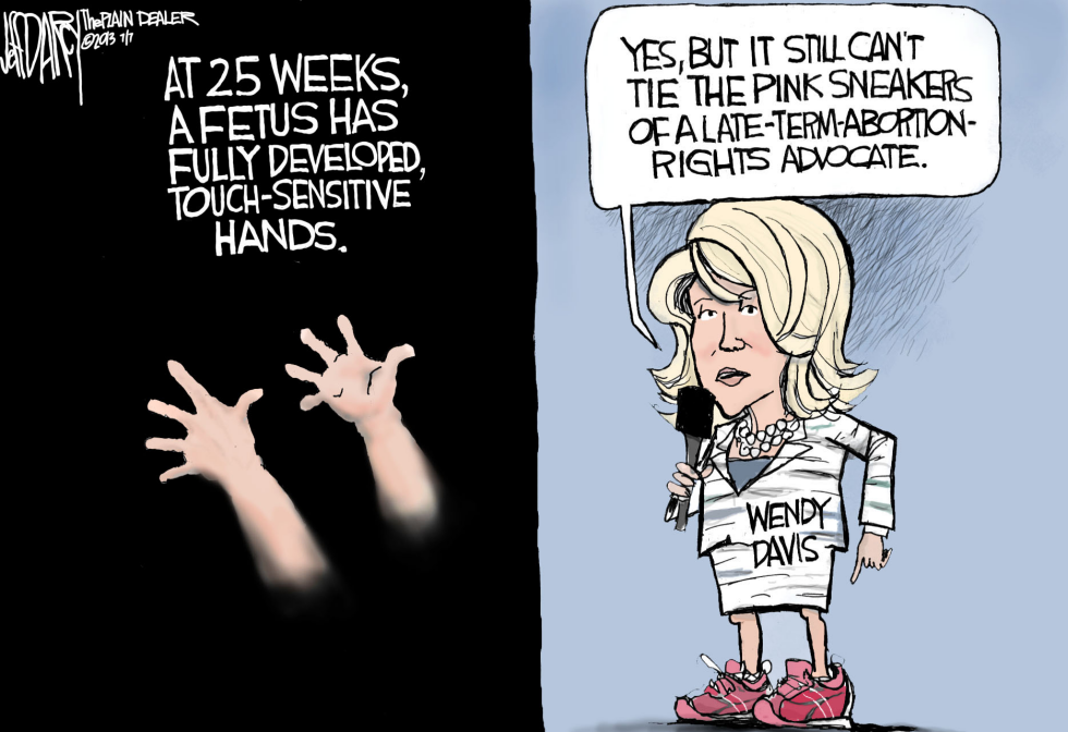 Wendy Davis is no hero