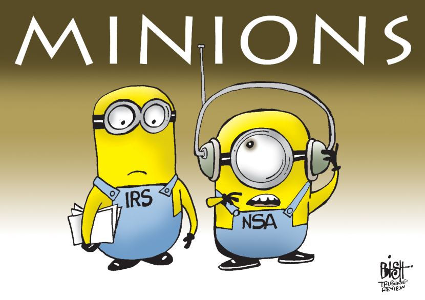 THE IRS AND NSA, COLOR