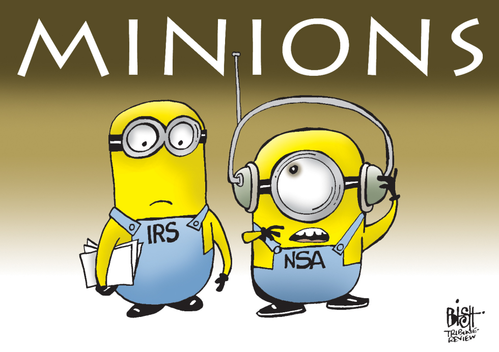 THE IRS AND NSA, COLOR