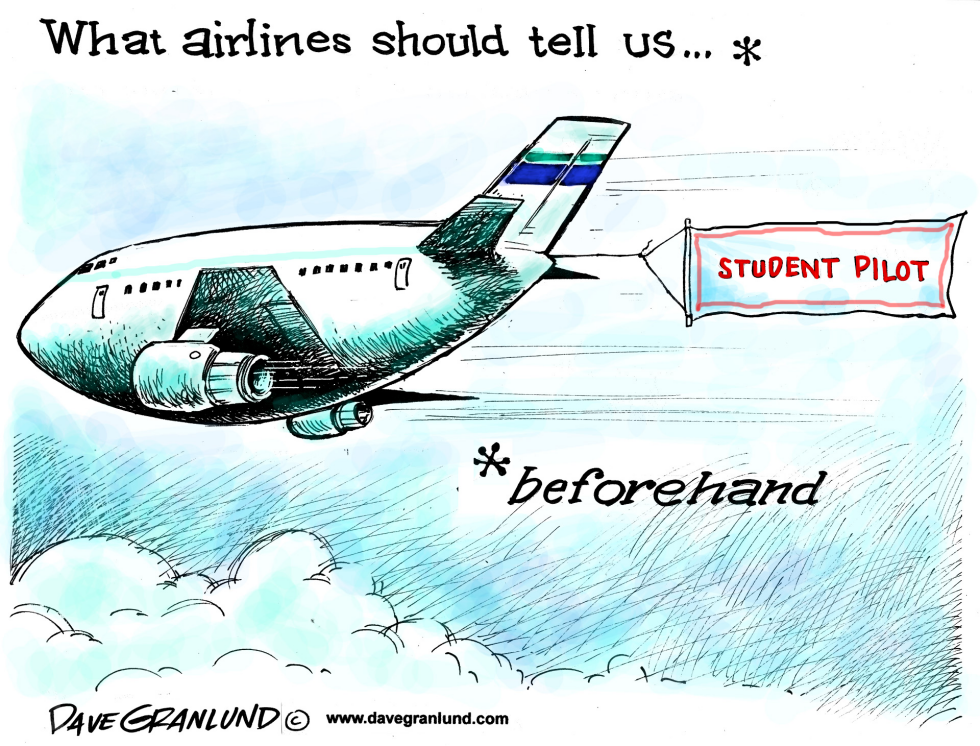  NOVICE PILOTS by Dave Granlund