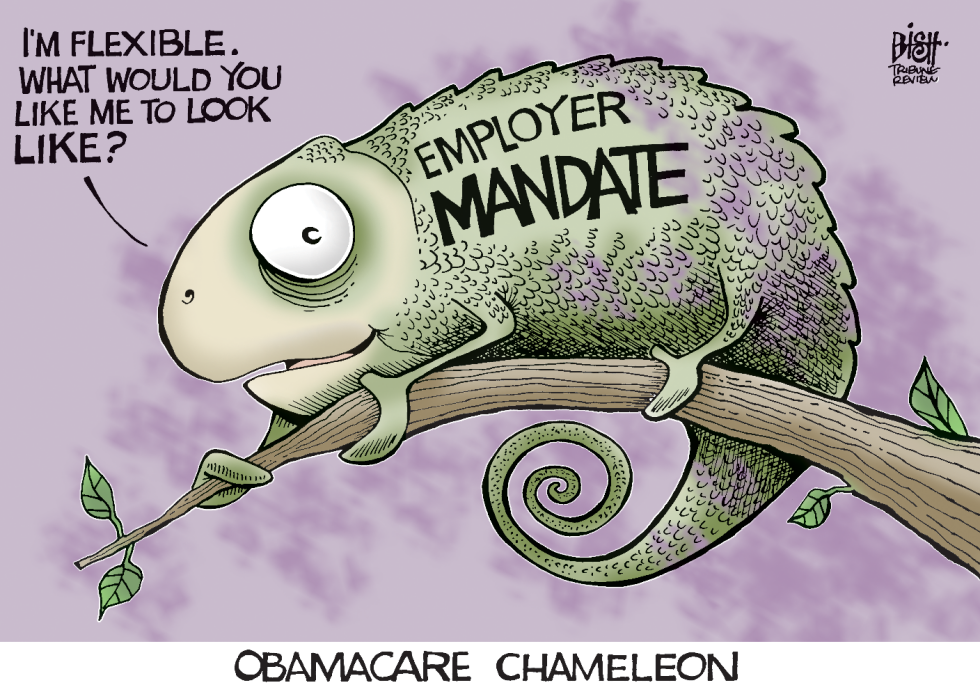 OBAMACARE CHANGES, COLOR