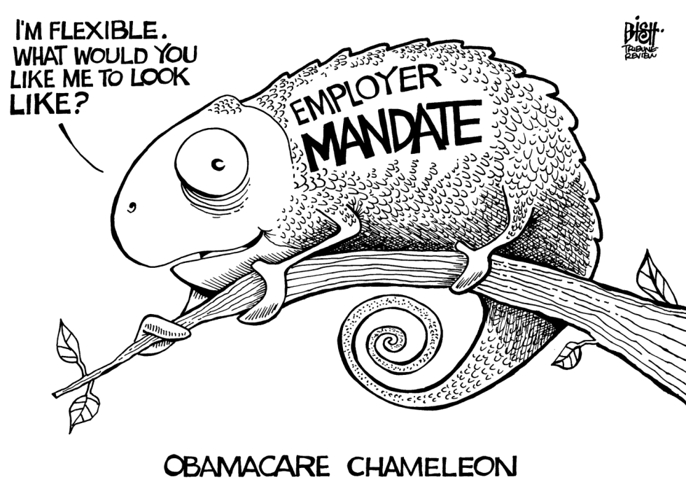 OBAMACARE CHANGES, B/W