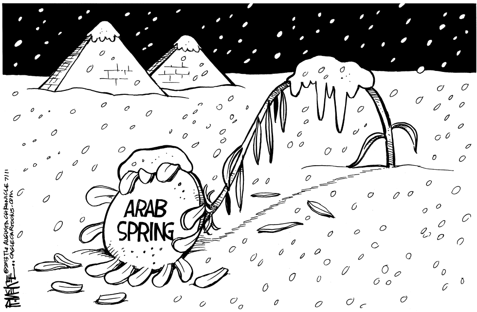 Arab Spring Frozen