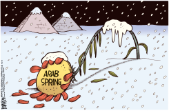 ARAB SPRING FROZEN  by Rick McKee