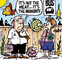 THE HUMIDITY by Steve Nease