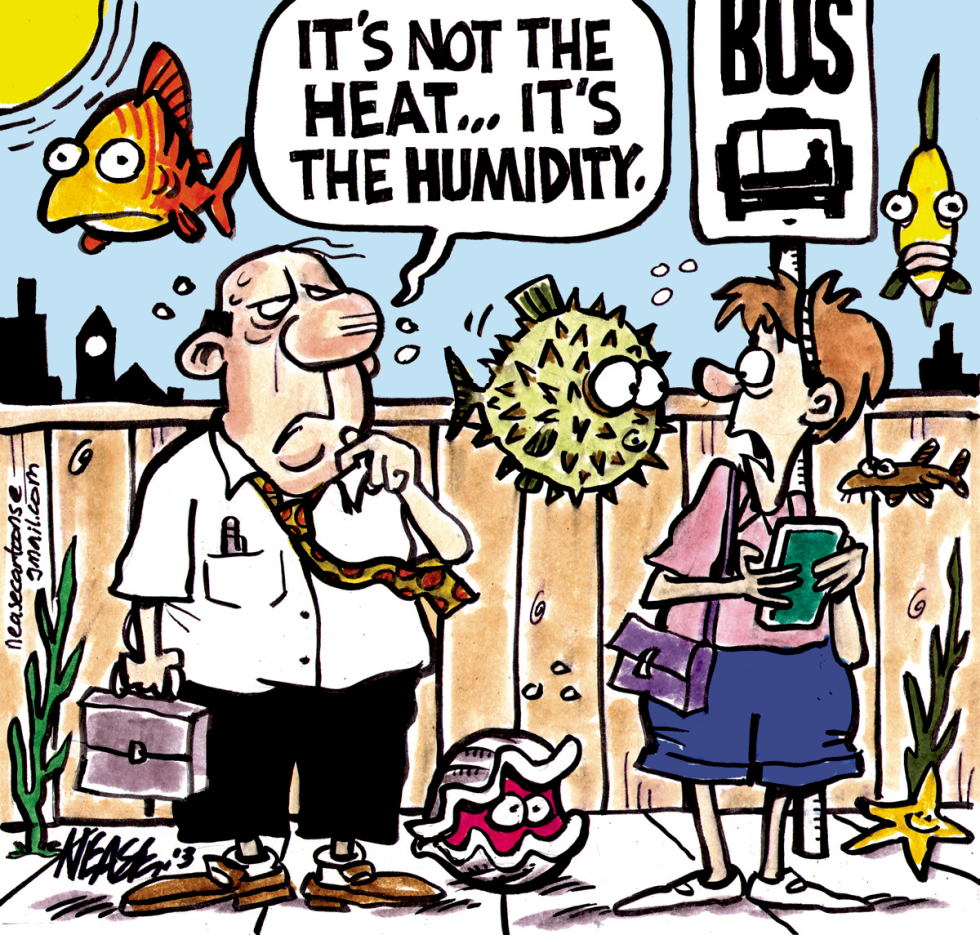 The Humidity