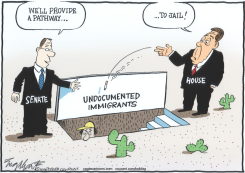 SENATE IMMIGRATION BILL by Bob Englehart