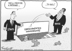 SENATE IMMIGRATION BILL by Bob Englehart