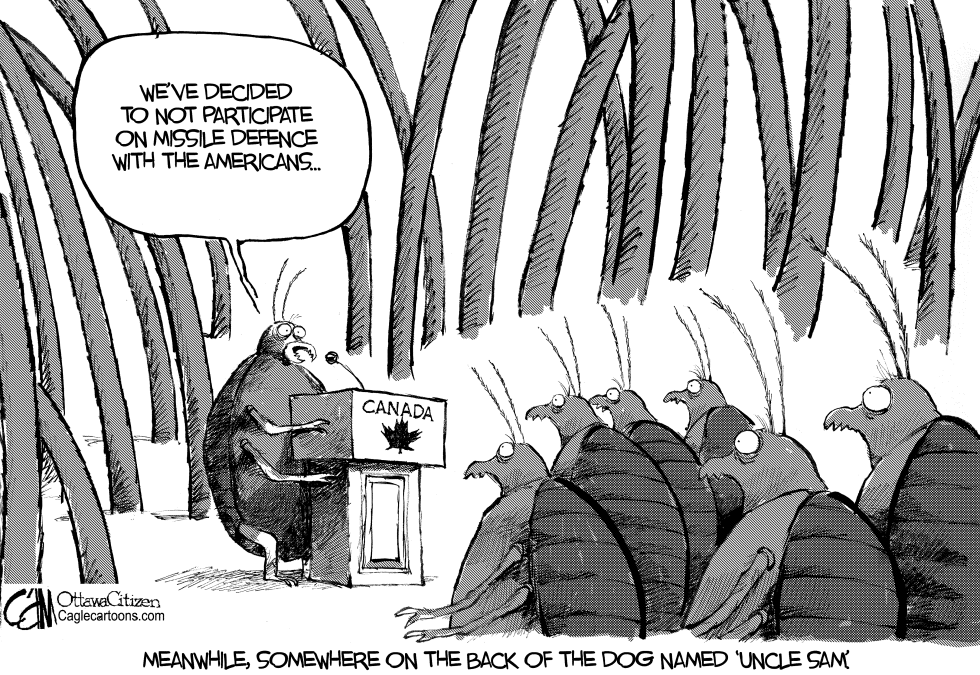 CANADA Canadian Fleas