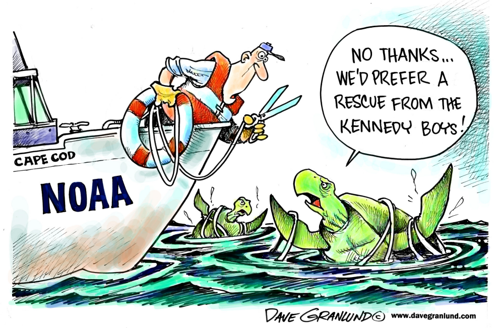Turtle rescues and Kennedys